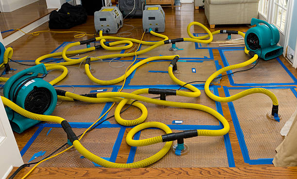 Professional Burst Pipe Water Damage technician working in Garden City, ID